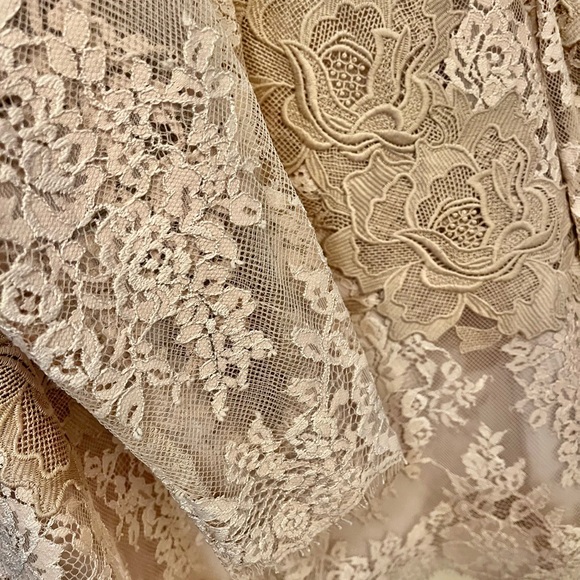 SAYLOR brand Medium lace sheath with top attached neutral beige - Picture 4 of 6